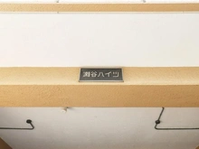 【神奈川県/横浜市瀬谷区瀬谷】瀬谷ハイツ B棟 マンション表札
