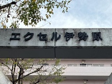 【神奈川県/伊勢原市東成瀬】エクセル伊勢原 マンション表札