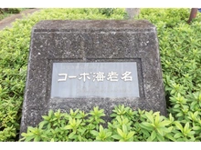 【神奈川県/海老名市河原口】コーポ海老名 マンション表札