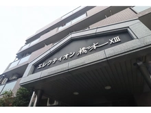 【神奈川県/相模原市緑区橋本】エレクティオン橋本 マンション表札
