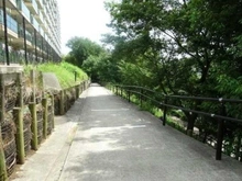 【神奈川県/横浜市都筑区仲町台】ヴェレーナ港北ニュータウン 敷地内