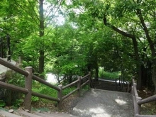 【神奈川県/横浜市都筑区仲町台】ヴェレーナ港北ニュータウン 敷地内