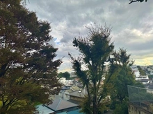 【神奈川県/横浜市西区宮ケ谷】三ツ沢ハイタウン 3号棟 眺望