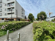 【神奈川県/横浜市港北区仲手原】妙蓮寺ビューハイツ 隣接緑道（現地より約1m）：マンション敷地に隣接