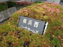 【神奈川県/横浜市神奈川区沢渡】横浜西パークホームズ マンション表札