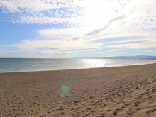 【神奈川県/平塚市千石河岸】シーサイドパレス平塚  平塚海岸（現地より約220m）