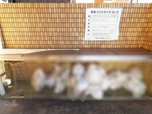 【神奈川県/横浜市中区根岸町】ヴェリテ根岸森林公園 共用施設：ゴミ置き場