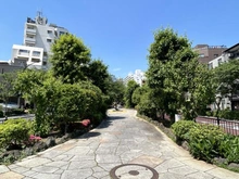 【東京都/文京区小石川】オープンレジデンシア小石川播磨坂 播磨坂（現地より約60m）