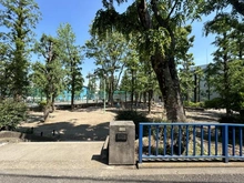 【東京都/文京区小石川】オープンレジデンシア小石川播磨坂 文京区立竹早公園（現地より約300m）