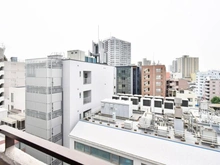 【神奈川県/横浜市神奈川区西神奈川】セザール東白楽 眺望