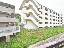 【神奈川県/横浜市神奈川区三ツ沢下町】コスモ三ツ沢ガーデン山 眺望