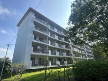 【神奈川県/横浜市神奈川区三ツ沢下町】ガーデン山住宅団地壱号棟 外観