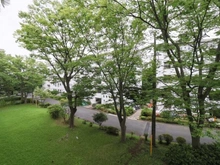 【神奈川県/横浜市神奈川区三ツ沢下町】ガーデン山住宅団地壱号棟 眺望