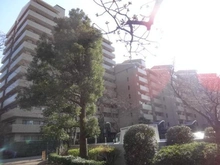 【神奈川県/横浜市中区本牧原】パークシティ本牧 G棟 外観