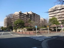 【神奈川県/横浜市中区本牧原】パークシティ本牧 G棟 前面道路