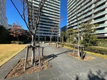 【神奈川県/海老名市扇町】グレーシアタワーズ海老名イースト 敷地内