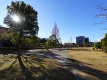 【神奈川県/藤沢市川名】パークアリーナセントラルウィングウエスト 敷地内
