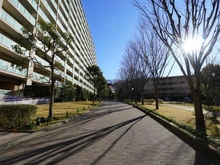 【神奈川県/藤沢市川名】パークアリーナセントラルウィングウエスト 敷地内