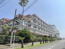【神奈川県/逗子市小坪】逗子マリーナ 7号棟 カトレア館 外観