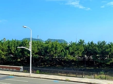 【神奈川県/藤沢市鵠沼海岸】東急ドエル・シーサイドコート 眺望