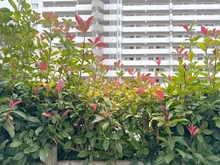 【神奈川県/茅ヶ崎市香川】ライトタウン茅ヶ崎 4号棟 眺望