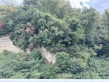 【神奈川県/鎌倉市関谷】鎌倉関谷スカイハイツ 眺望