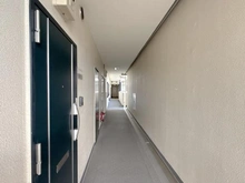 【神奈川県/平塚市西真土】ナイスアーバン平塚総合公園 玄関