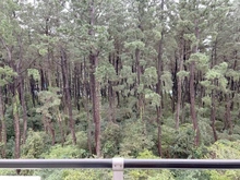 【神奈川県/平塚市袖ケ浜】サンビーチ平塚2号館 眺望