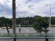 【神奈川県/藤沢市鵠沼海岸】クリオ鵠沼海岸グランロワ 眺望