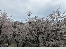 【神奈川県/藤沢市亀井野】六会駅前高層住宅 眺望