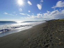 【神奈川県/平塚市袖ケ浜】オハナ平塚袖ヶ浜 平塚海岸（現地より約350m）：