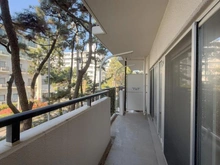 【神奈川県/平塚市菫平】パレ平塚すみれ平壱番館 バルコニー