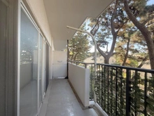 【神奈川県/平塚市菫平】パレ平塚すみれ平壱番館 バルコニー