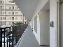 【神奈川県/平塚市菫平】パレ平塚すみれ平壱番館 廊下