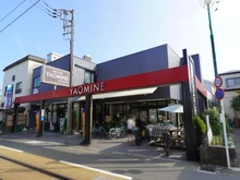 【神奈川県/鎌倉市腰越】ヴァンヴェール鎌倉 フレッシュストアヤオミネ（現地より約560m）