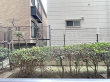 【神奈川県/藤沢市片瀬海岸】ライオンズマンション片瀬江ノ島第2 眺望