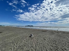 【神奈川県/藤沢市鵠沼海岸】東急ドエル・シーサイドコート鵠沼海岸 鵠沼海岸（現地より約300m）