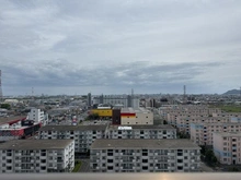 【神奈川県/平塚市田村】秀和平塚レジデンス 眺望