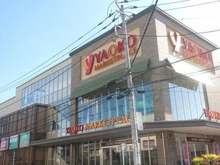 【神奈川県/平塚市宮松町】パークホームズLaLa湘南平塚 ヤオコー平塚宮松町店（現地より約230m）