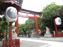 【神奈川県/平塚市宮松町】パークホームズLaLa湘南平塚  平塚八幡宮（現地より約260m）