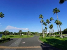 【神奈川県/藤沢市辻堂西海岸】Brillia湘南辻堂海浜公園  辻堂海浜公園（現地より約320m）
