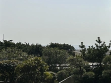 【神奈川県/藤沢市鵠沼海岸】グランドメゾン鵠沼海岸 眺望