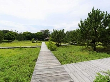 【神奈川県/茅ヶ崎市汐見台】ヴェレーナ茅ヶ崎海岸 湘南汐見台公園（現地より約10m）：