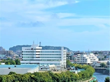 【神奈川県/藤沢市鵠沼東】東急ドエル・フェニックス 眺望