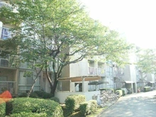【神奈川県/茅ヶ崎市十間坂】茅ヶ崎ニューライフ2号棟 外観