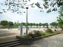 【東京都/新宿区中落合】クレヴィア新宿中落合EAST  落合中央公園（現地より約800m）：