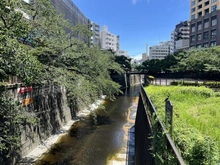 【東京都/目黒区中目黒】マートルコート第2中目黒 目黒川（現地より約50m）：
