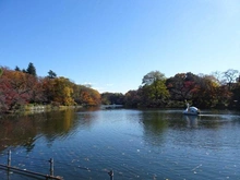 【東京都/武蔵野市御殿山】井の頭第2パークサイドマンション 井の頭恩賜公園（現地より約60m）：