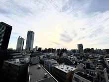 【東京都/新宿区西新宿】ハイネスロフティ 眺望