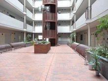 【東京都/新宿区西新宿】東建ニューハイツ西新宿 中庭